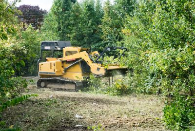 Top Rated Land Clearing Equipment