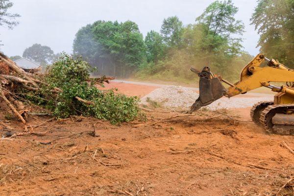 Forestry Mulching Service in Melbourne