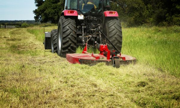 Brush Clearing Service in Melbourne