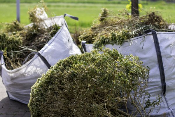 Bushes Clearing in Melbourne