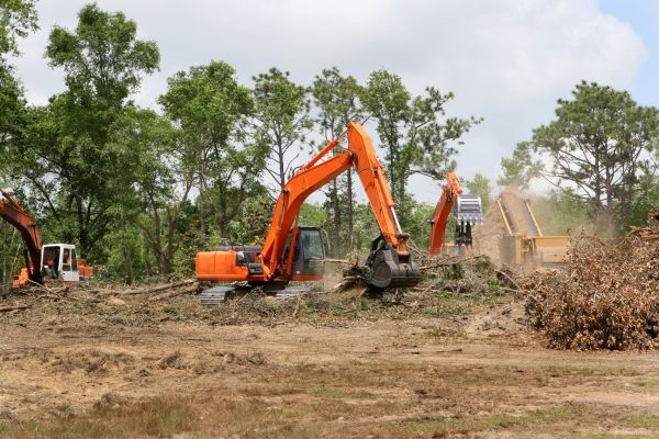 Commercial Lot Clearing