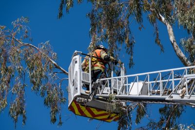 Land Clearing Safety Gear